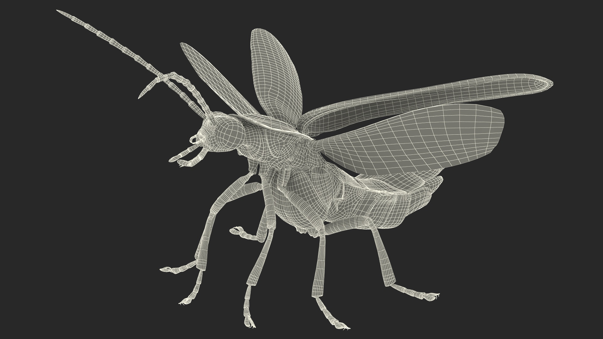 3D model Photinus Pyralis Standing Pose