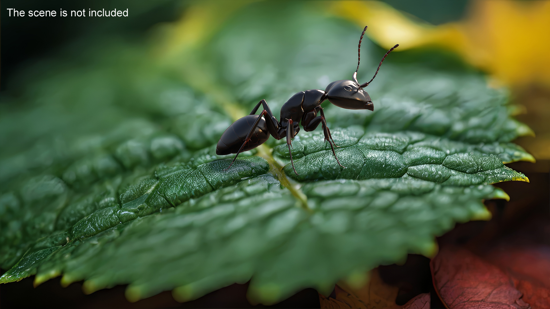 3D Realistic Black Ant Insect