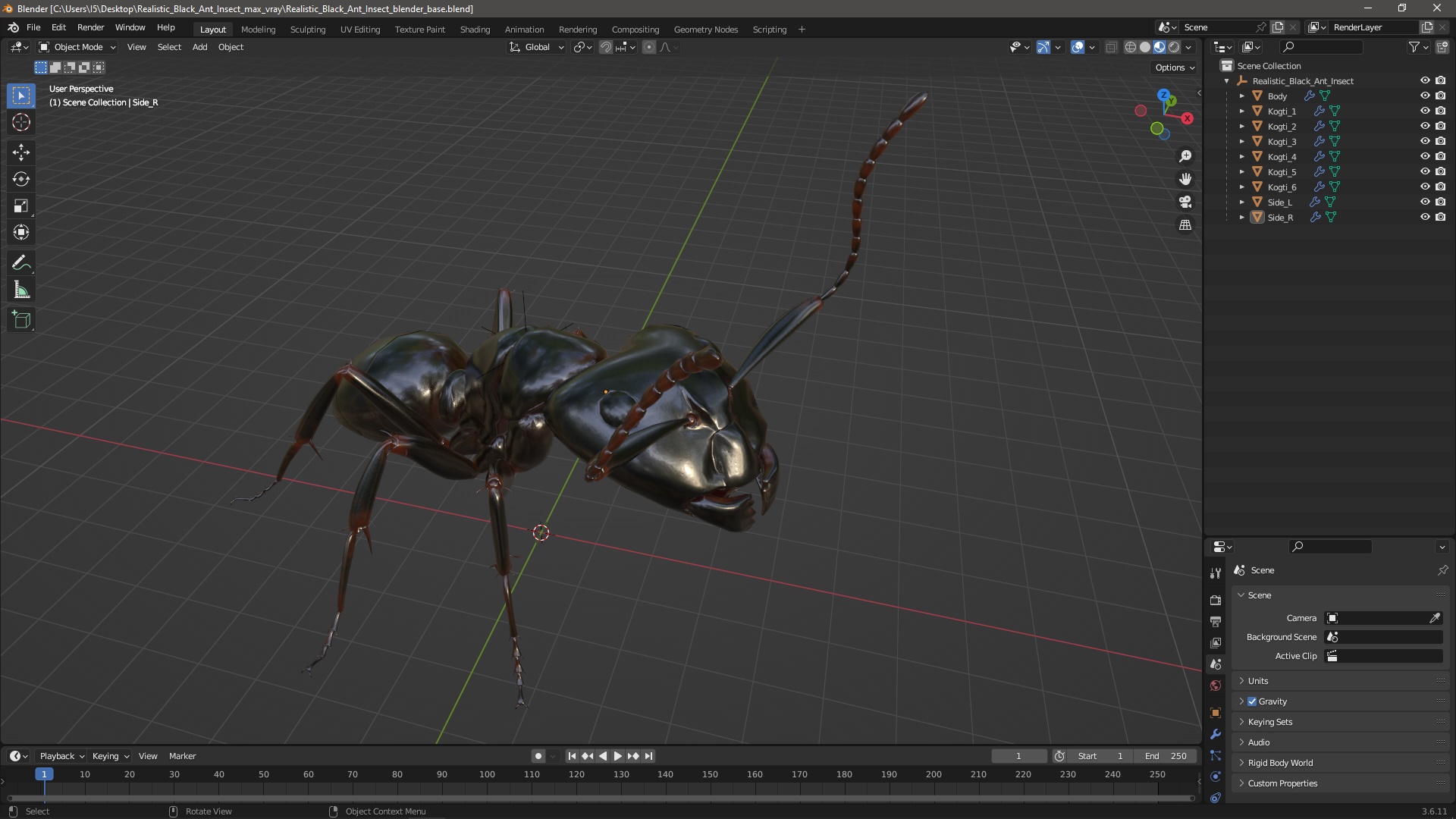 3D Realistic Black Ant Insect