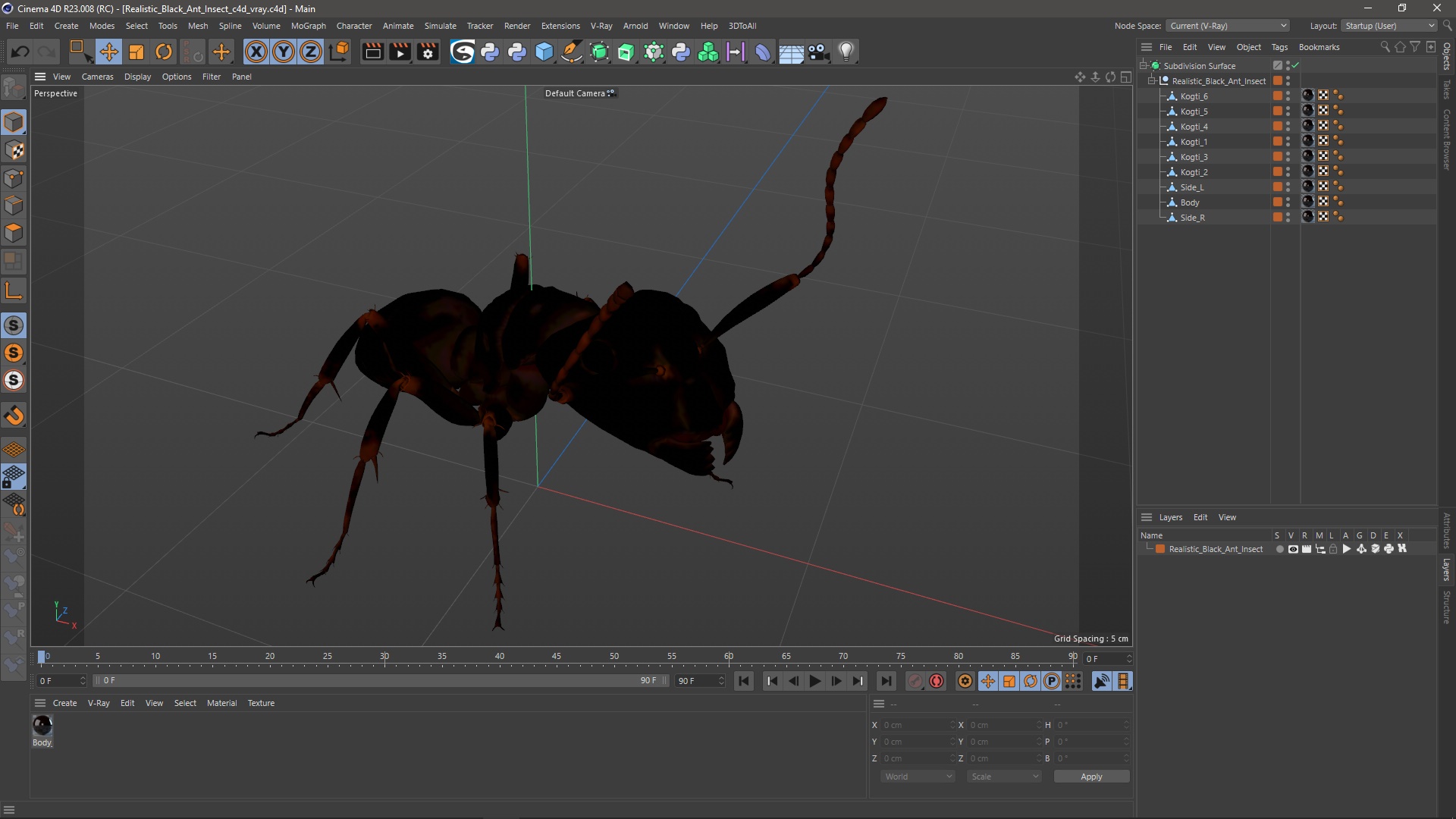 3D Realistic Black Ant Insect