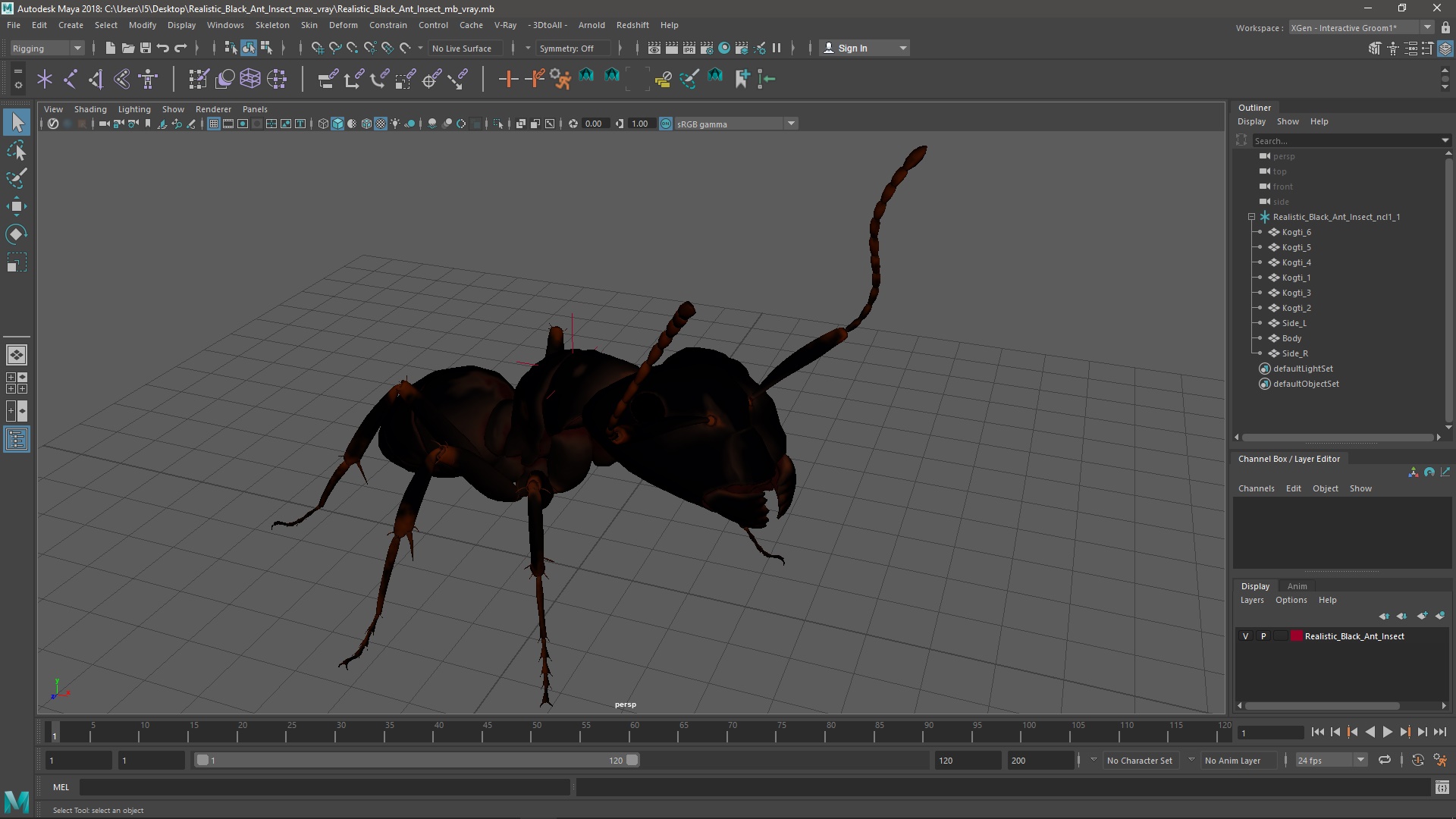 3D Realistic Black Ant Insect