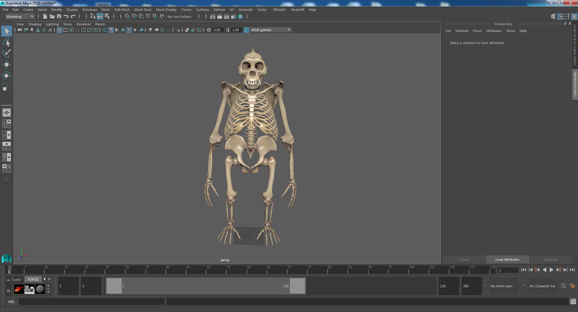 3D Gorilla Skeleton Bone Structure