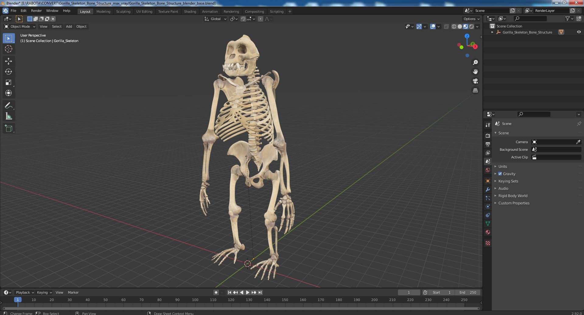 3D Gorilla Skeleton Bone Structure