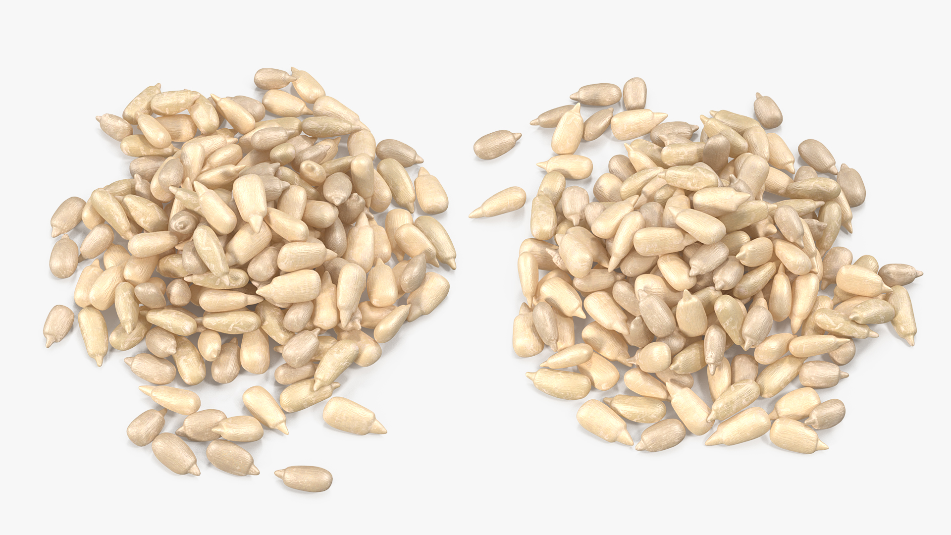 Peeled Sunflower Seeds Pile 3D