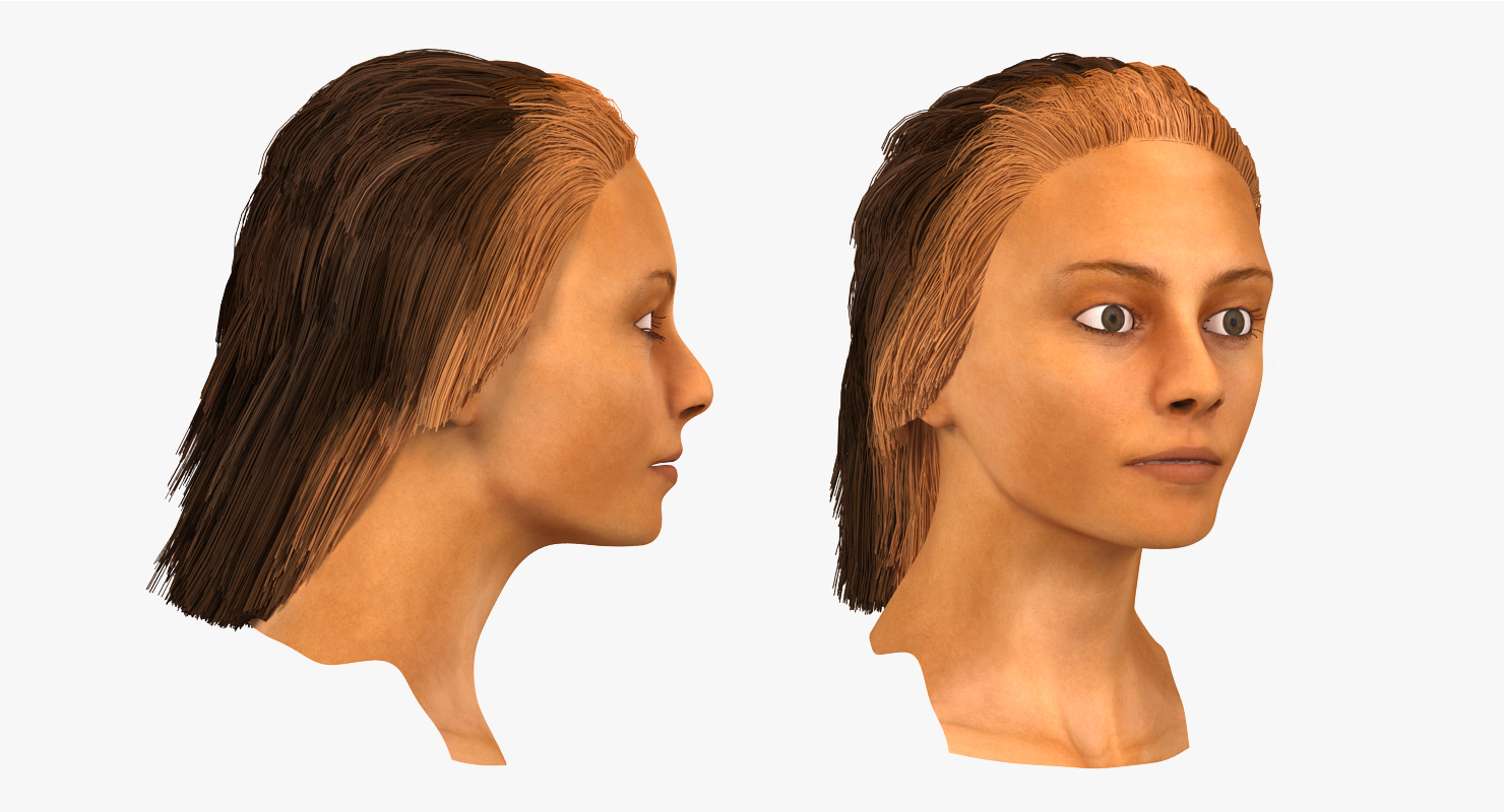 3D model Arab Woman Head