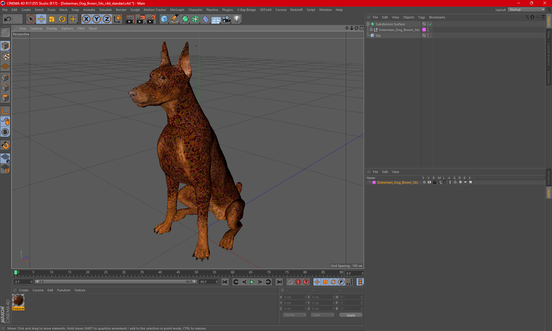 3D Doberman Dog Brown Sits model