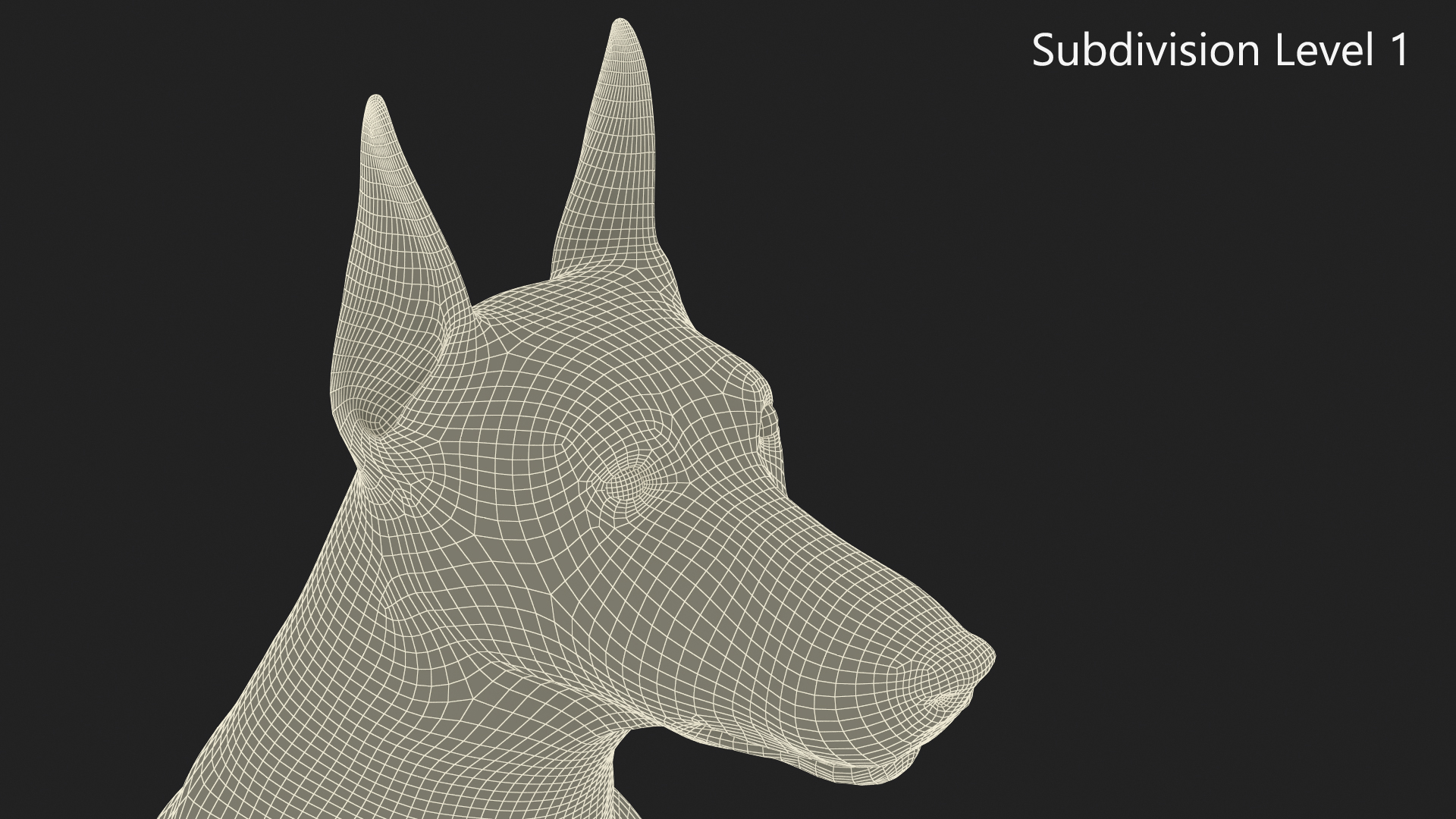 3D Doberman Dog Brown Sits model