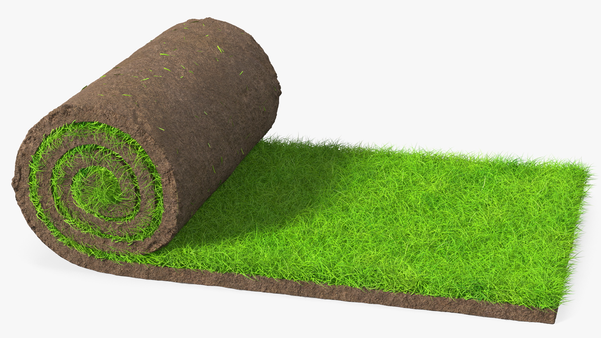 3D Lawn Turf Roll fur model