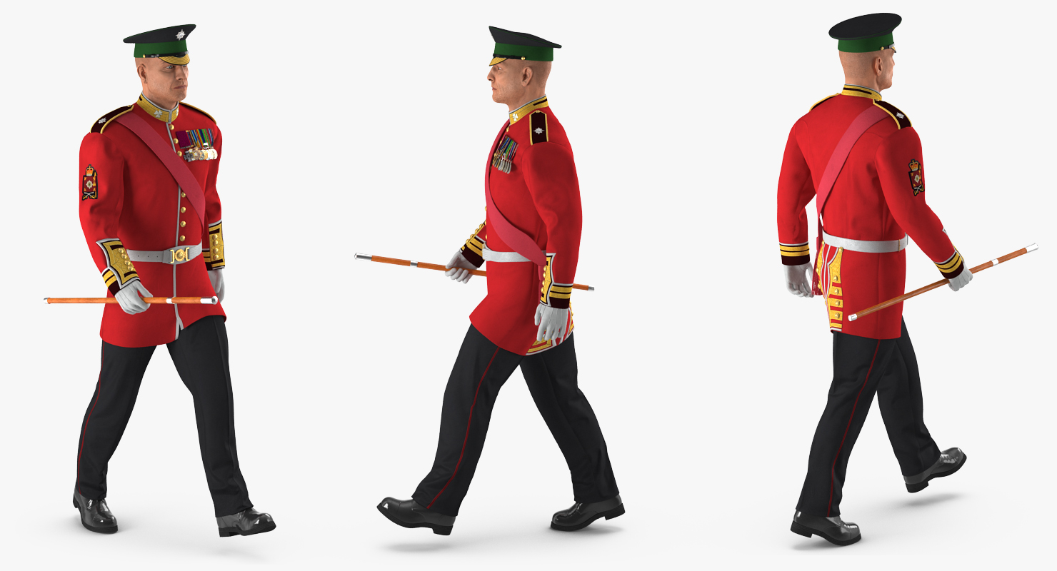 3D Irish Guard Sergeant Walking model