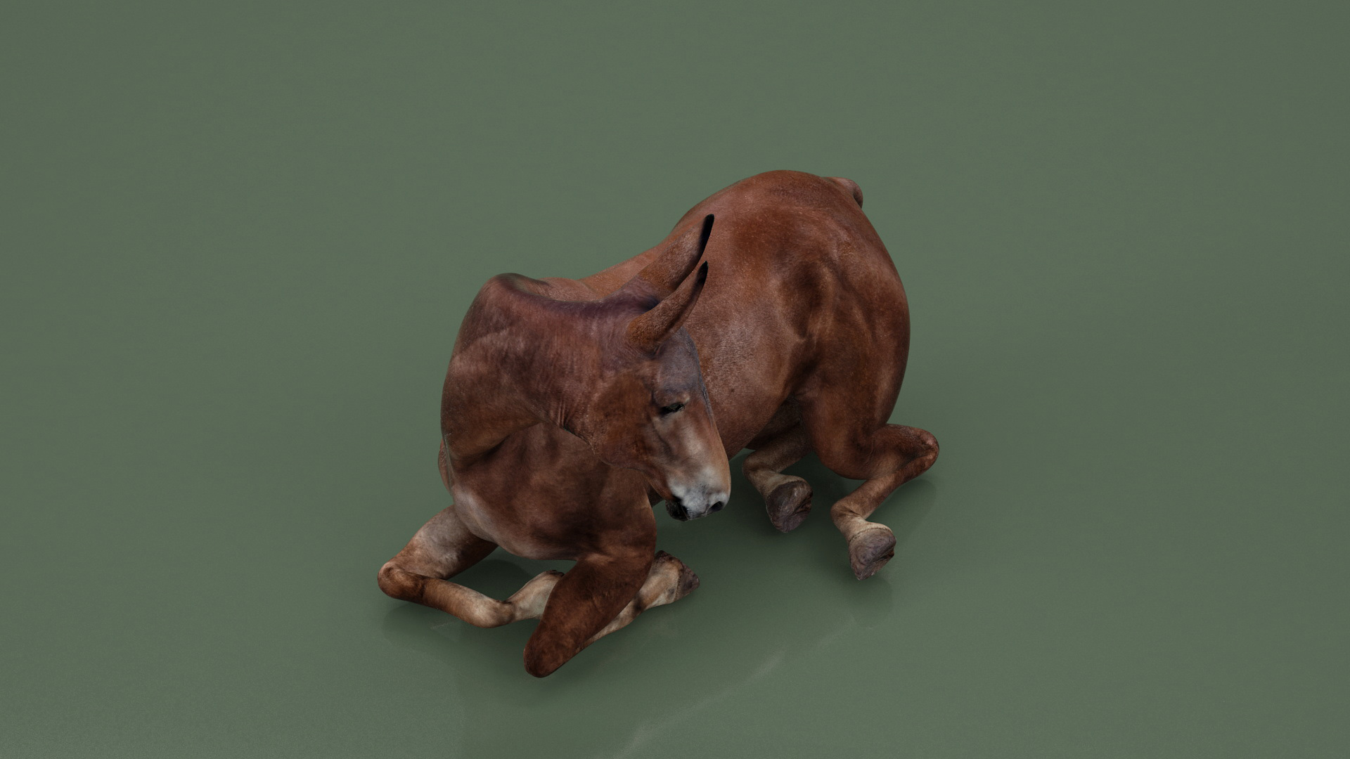 Lying Bay Mule 3D model