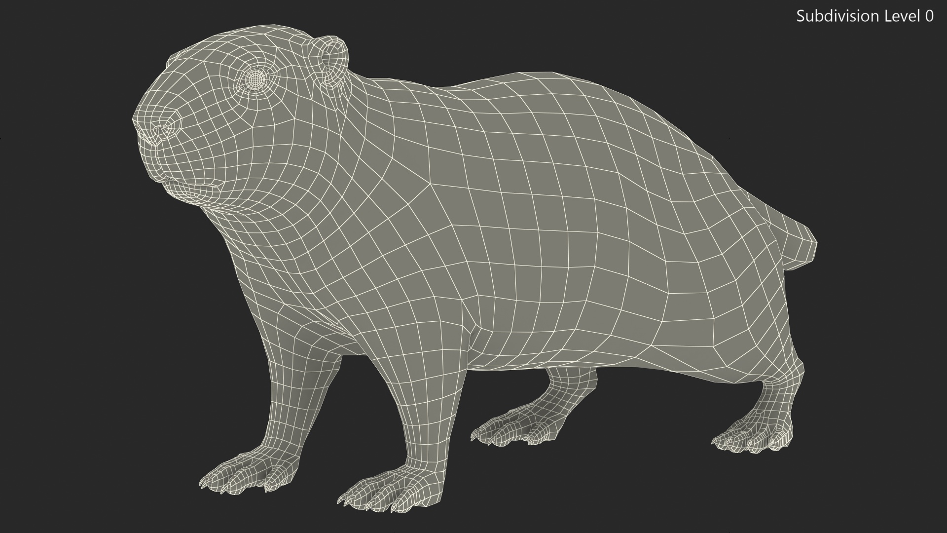 Alpine Marmot Fur 3D