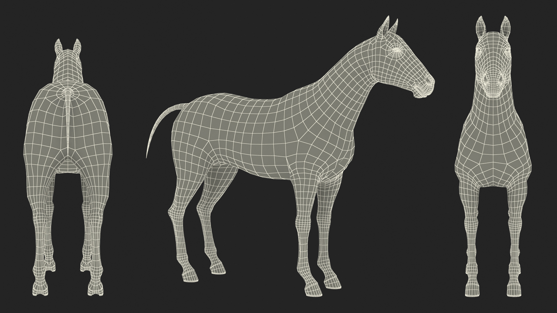 3D Bay Horse Fur model