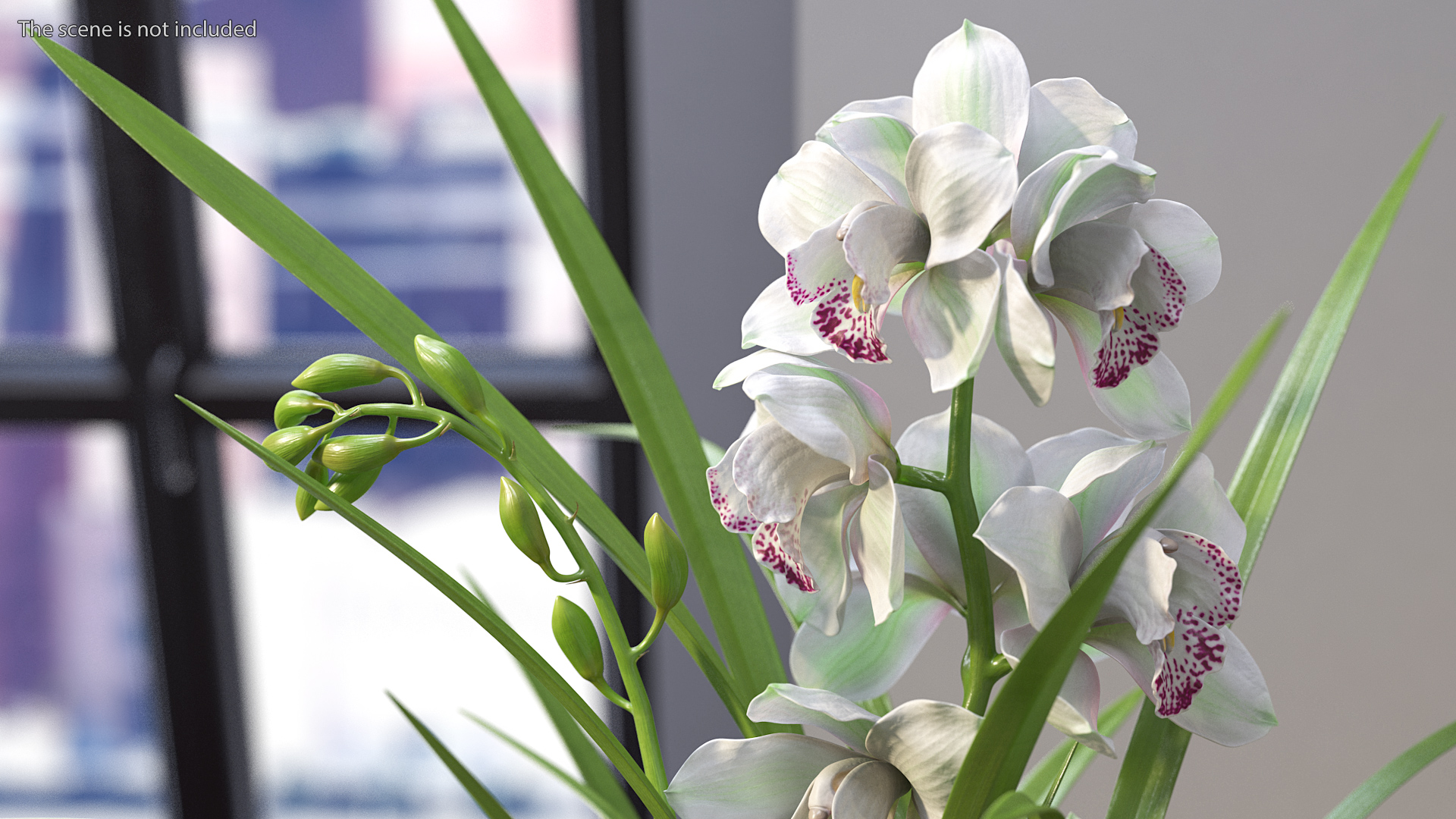 3D Orchid Pot White