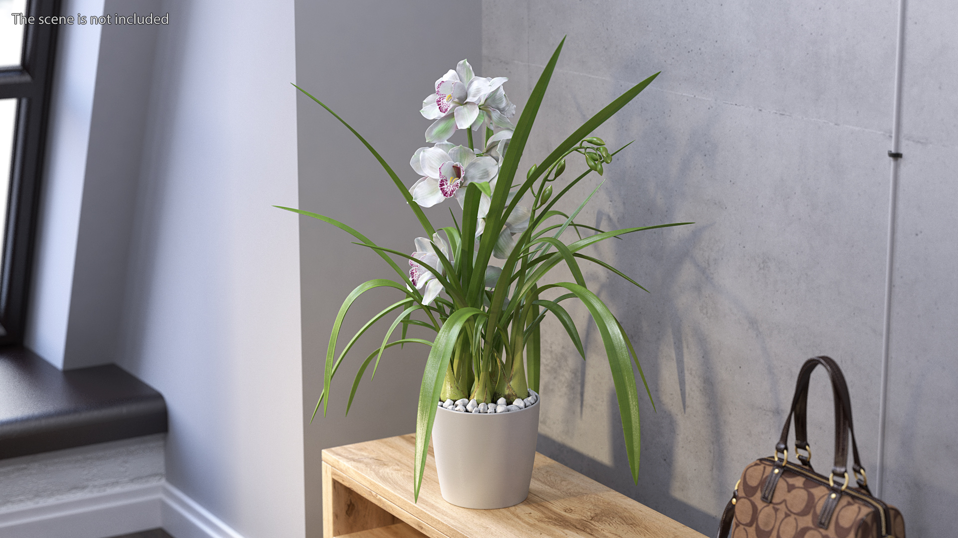 3D Orchid Pot White