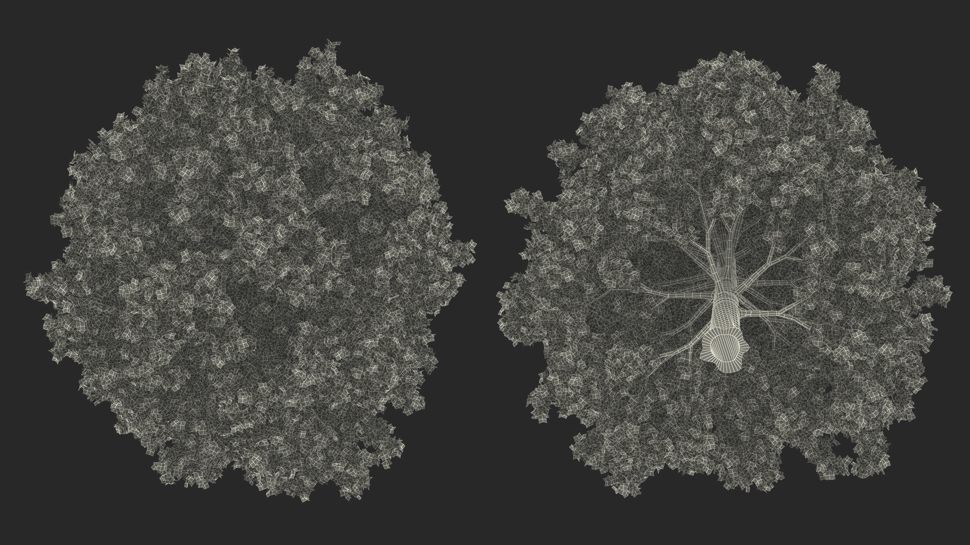 3D Realistic Oak Tree model