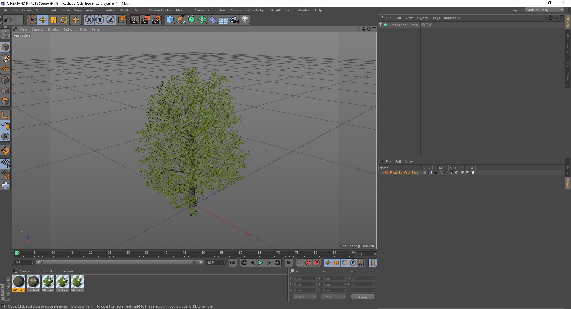 3D Realistic Oak Tree model