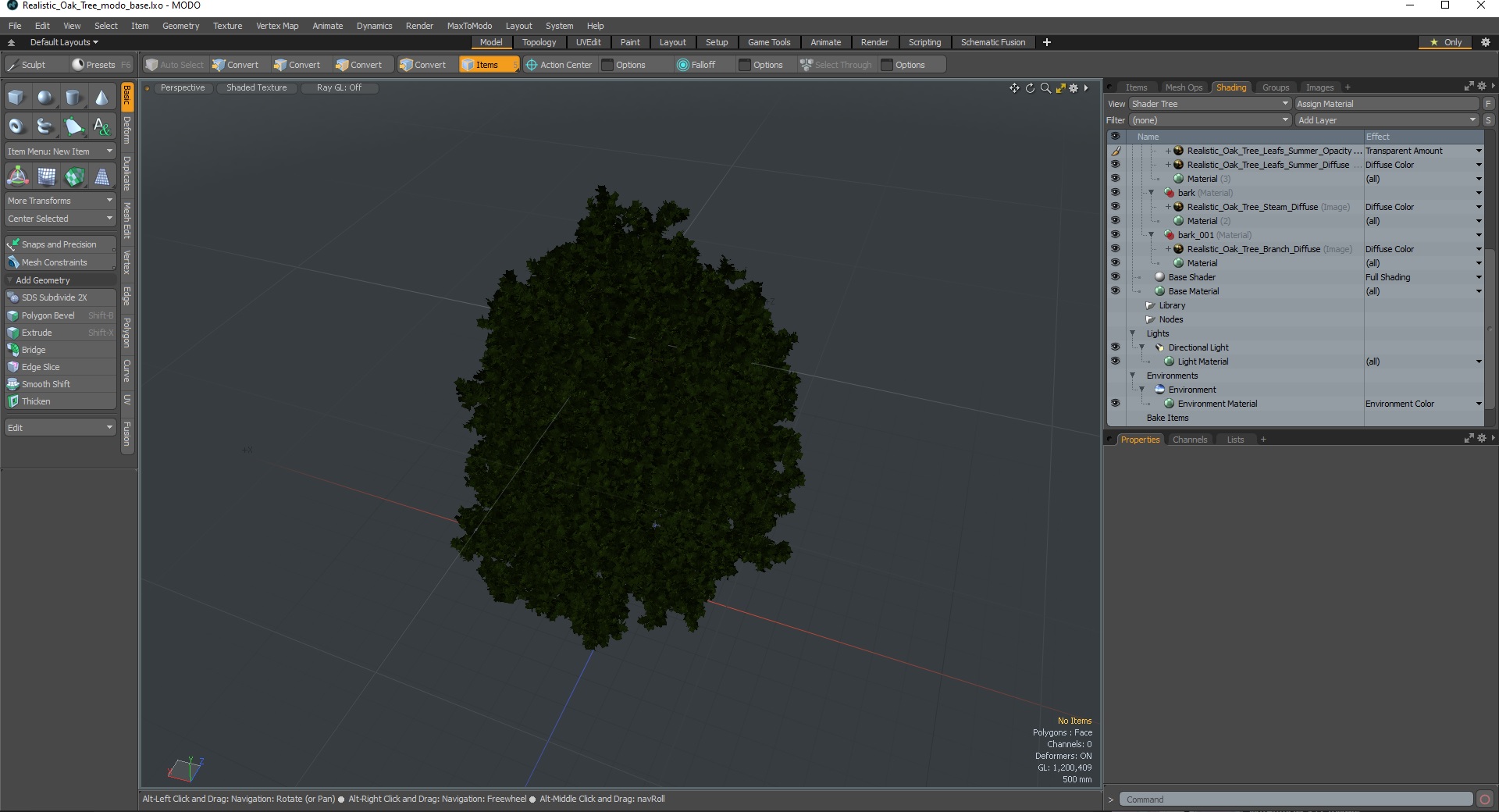 3D Realistic Oak Tree model