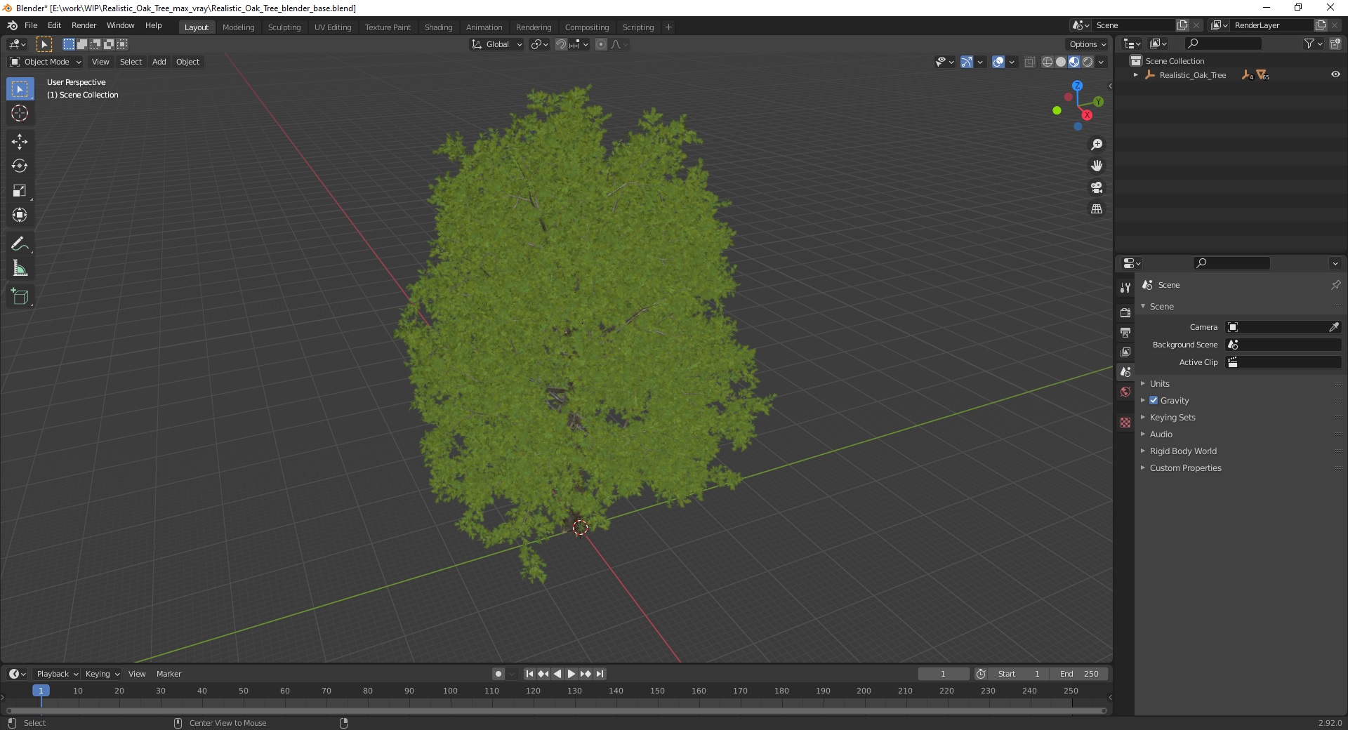 3D Realistic Oak Tree model