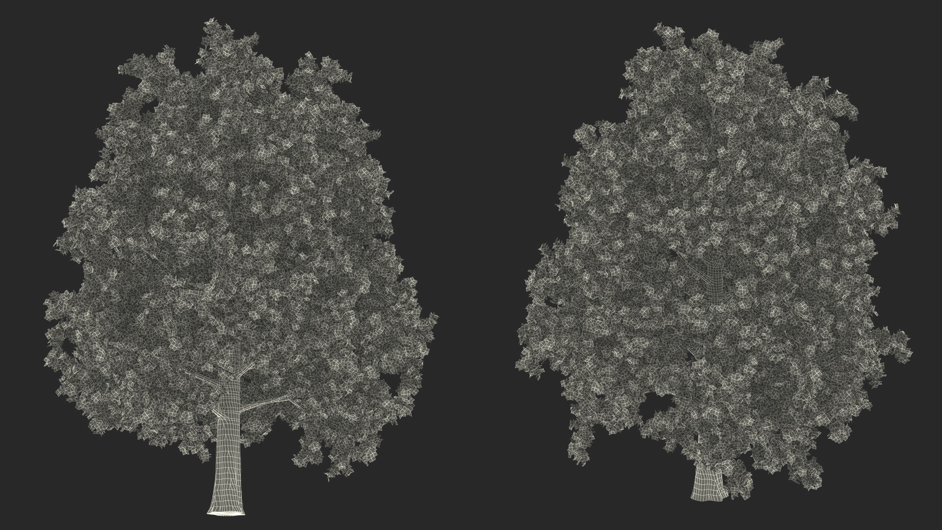 3D Realistic Oak Tree model