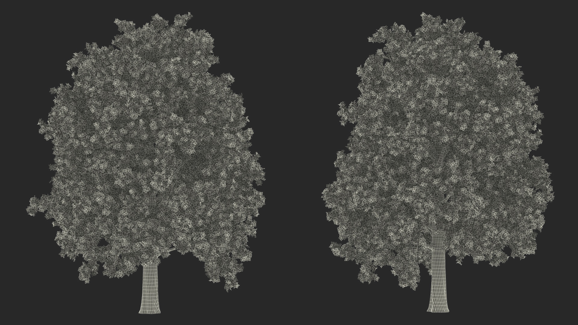 3D Realistic Oak Tree model