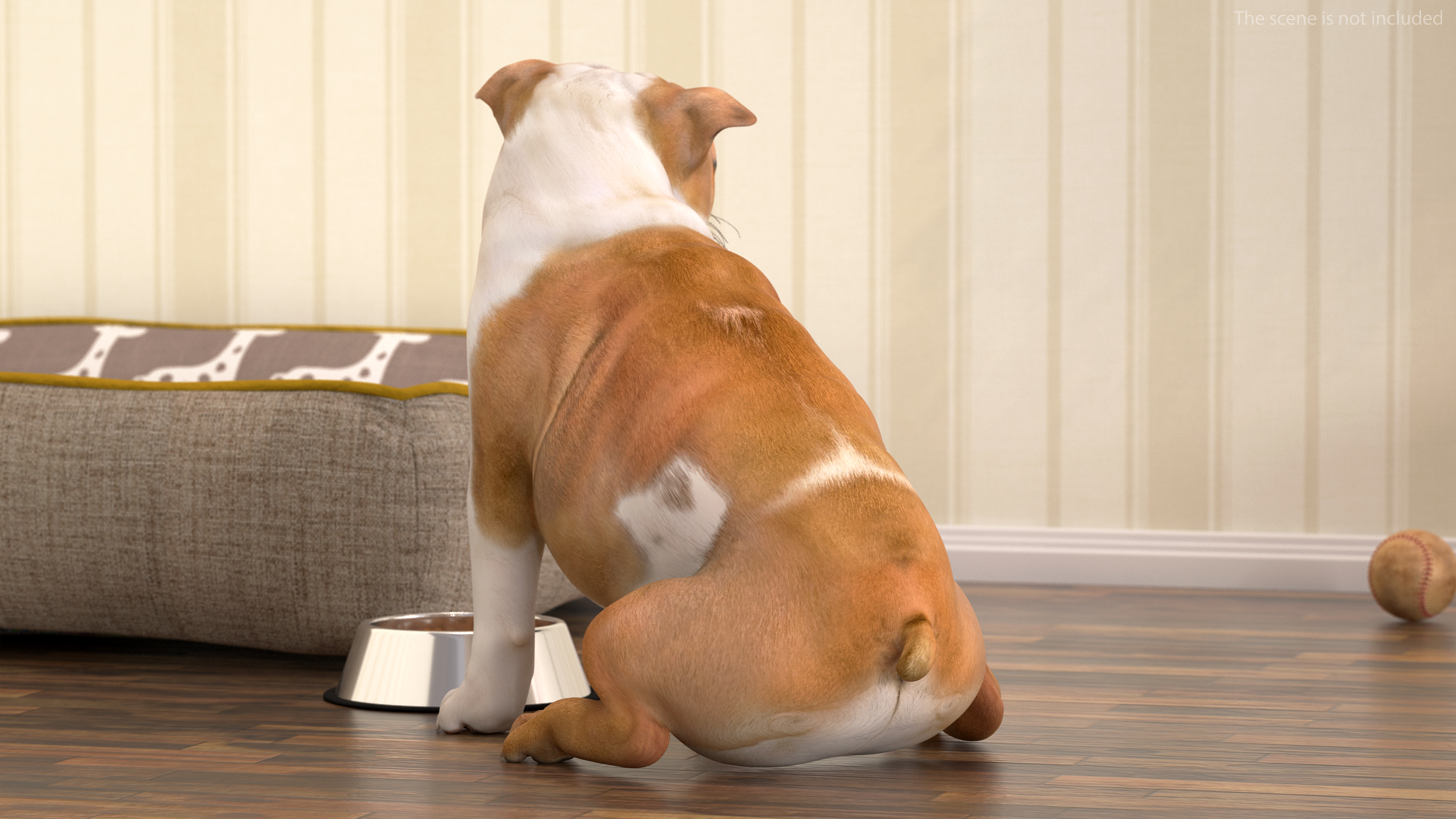 3D Bulldog Sitting Up model