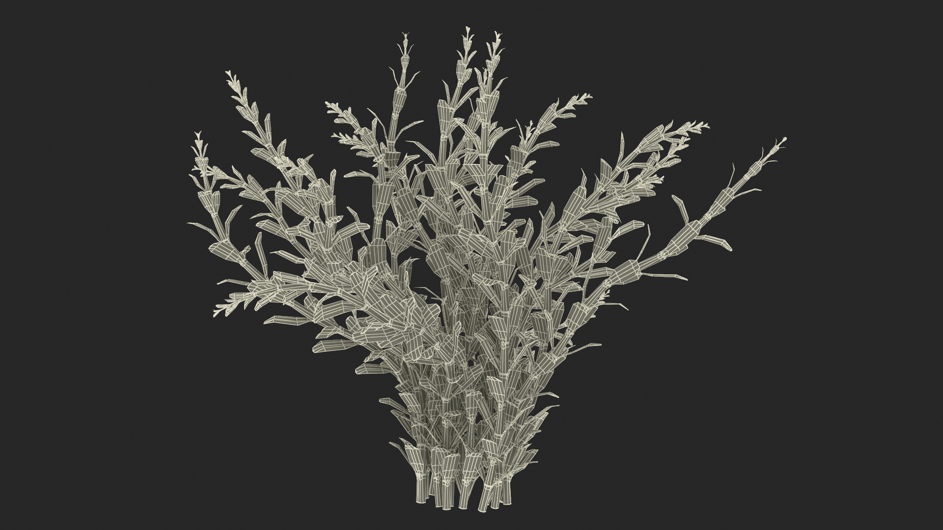 3D model Artificial Rotala Aquatic Plant Red