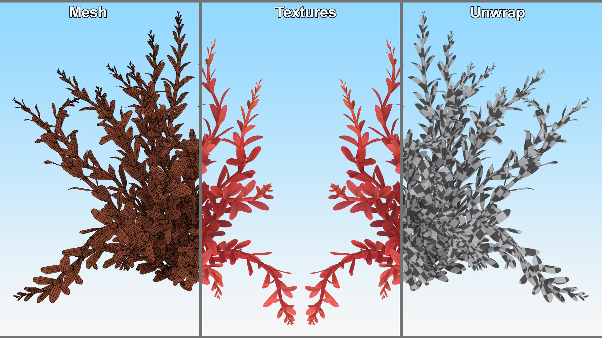 3D model Artificial Rotala Aquatic Plant Red