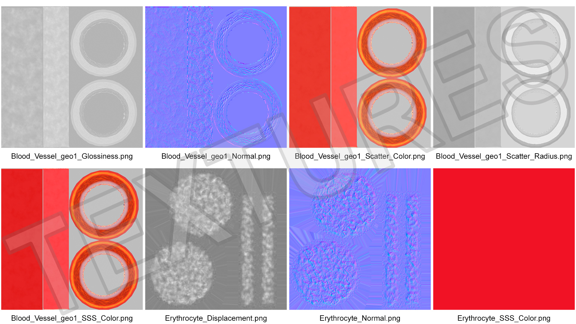 Human Artery 3D