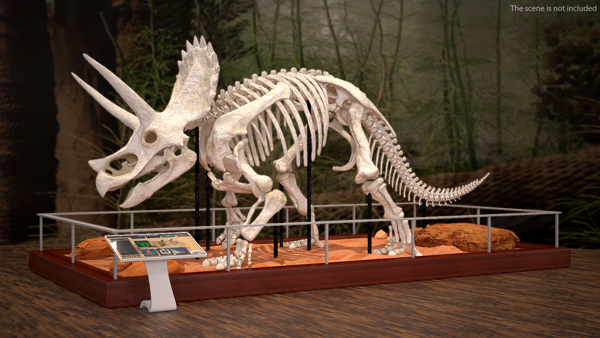 Triceratops Horridus Skeleton Walking Pose 3D