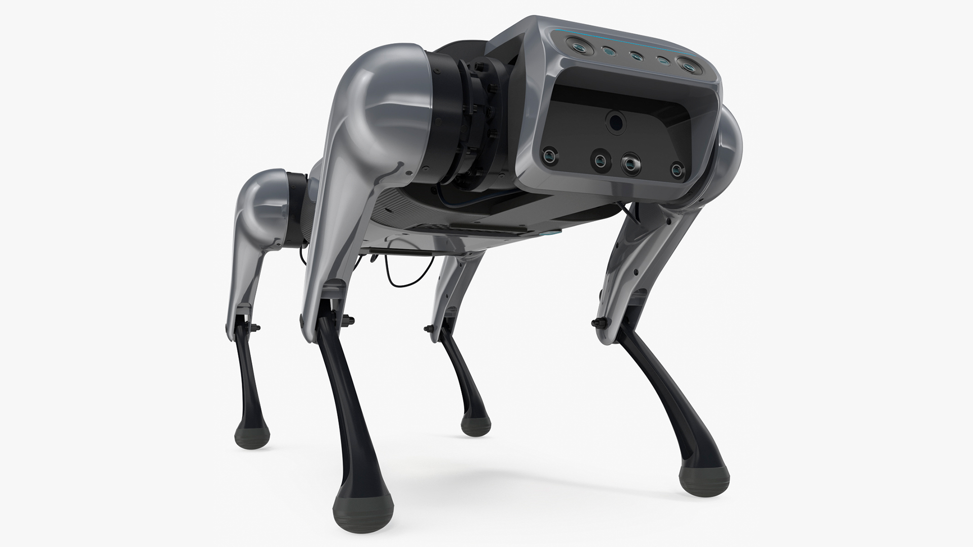 3D model Cyberdog