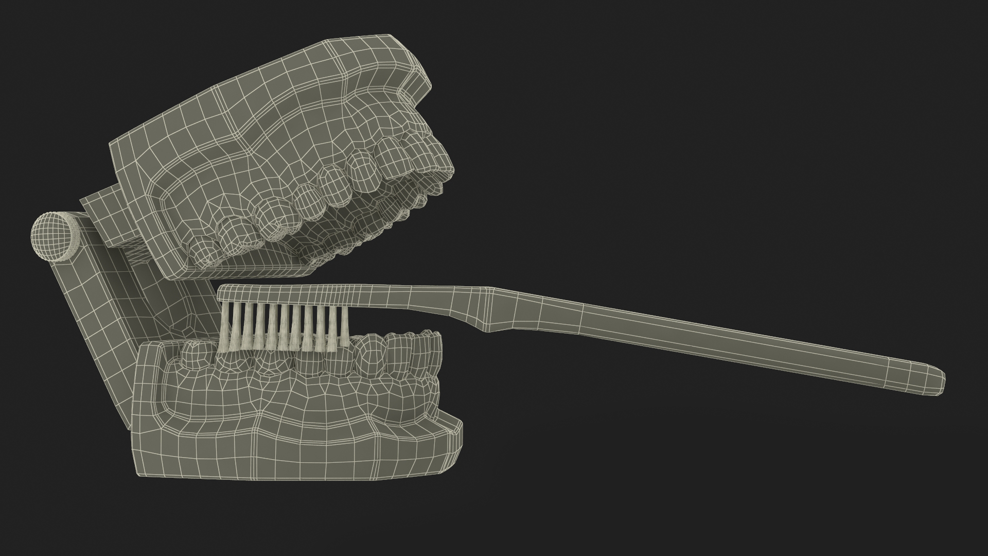 3D Dental Model with Toothbrush model