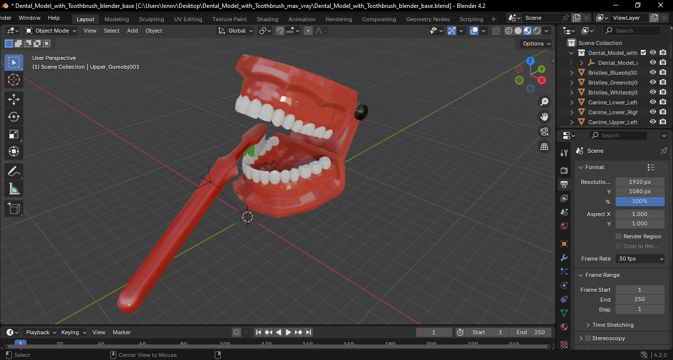 3D Dental Model with Toothbrush model