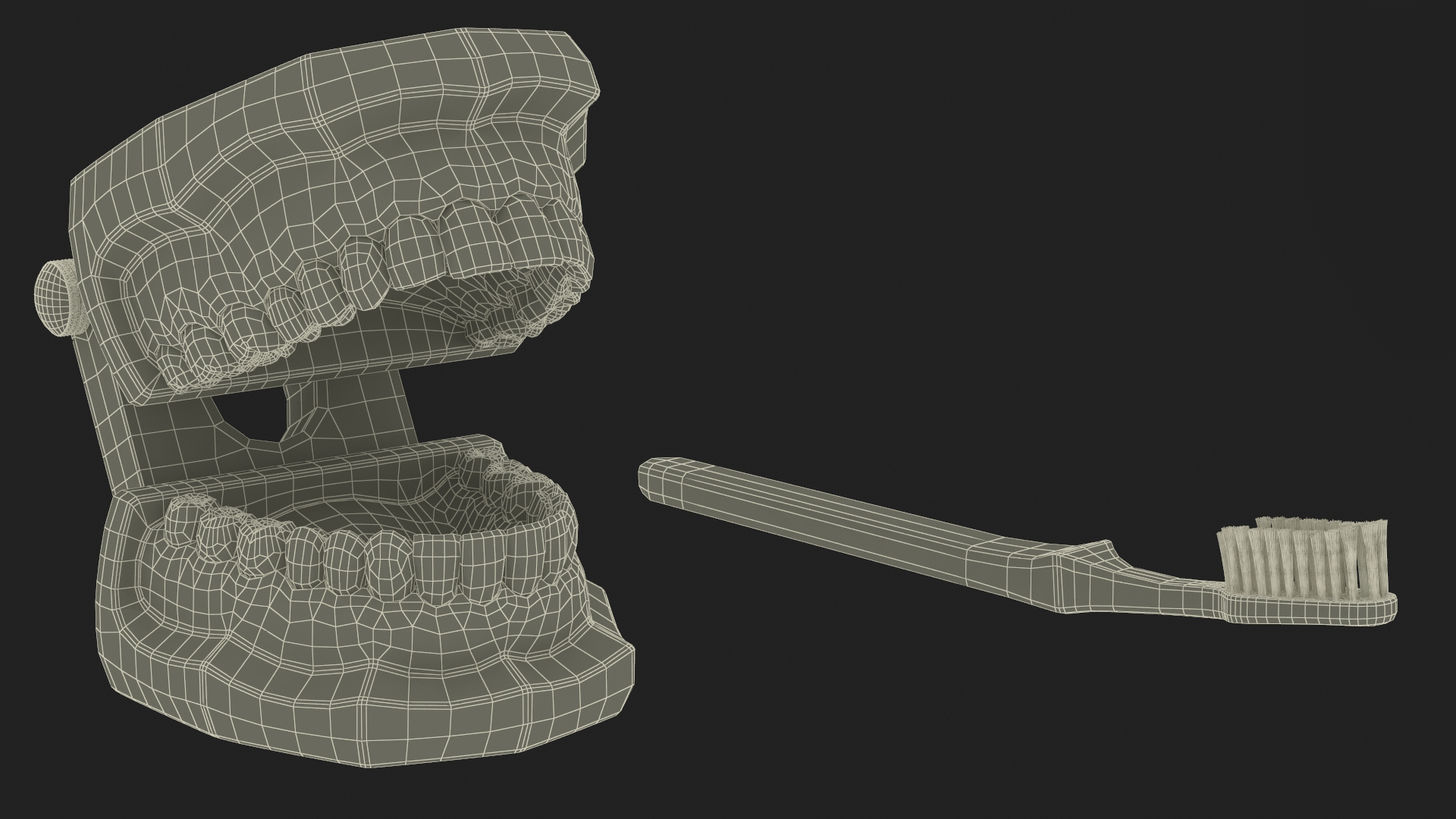 3D Dental Model with Toothbrush model