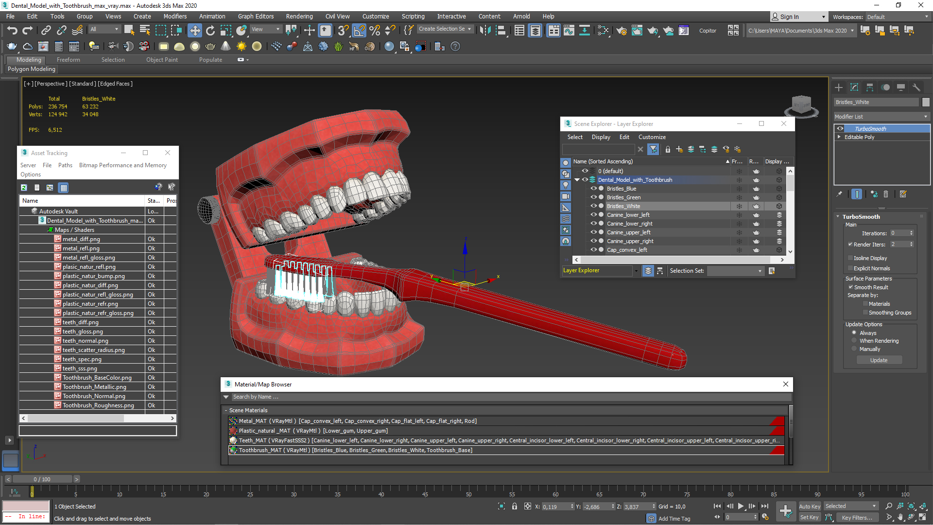 3D Dental Model with Toothbrush model