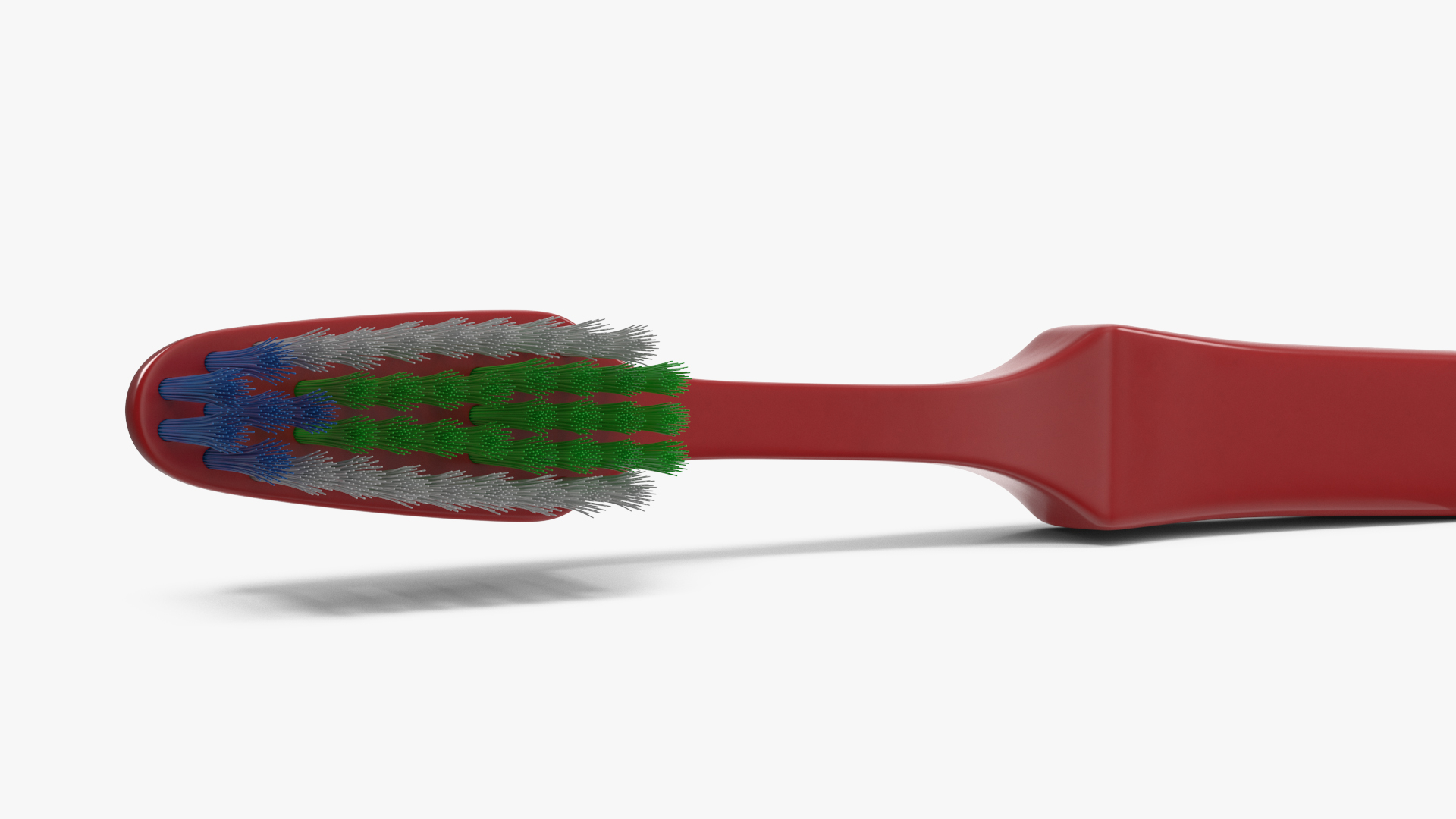 3D Dental Model with Toothbrush model