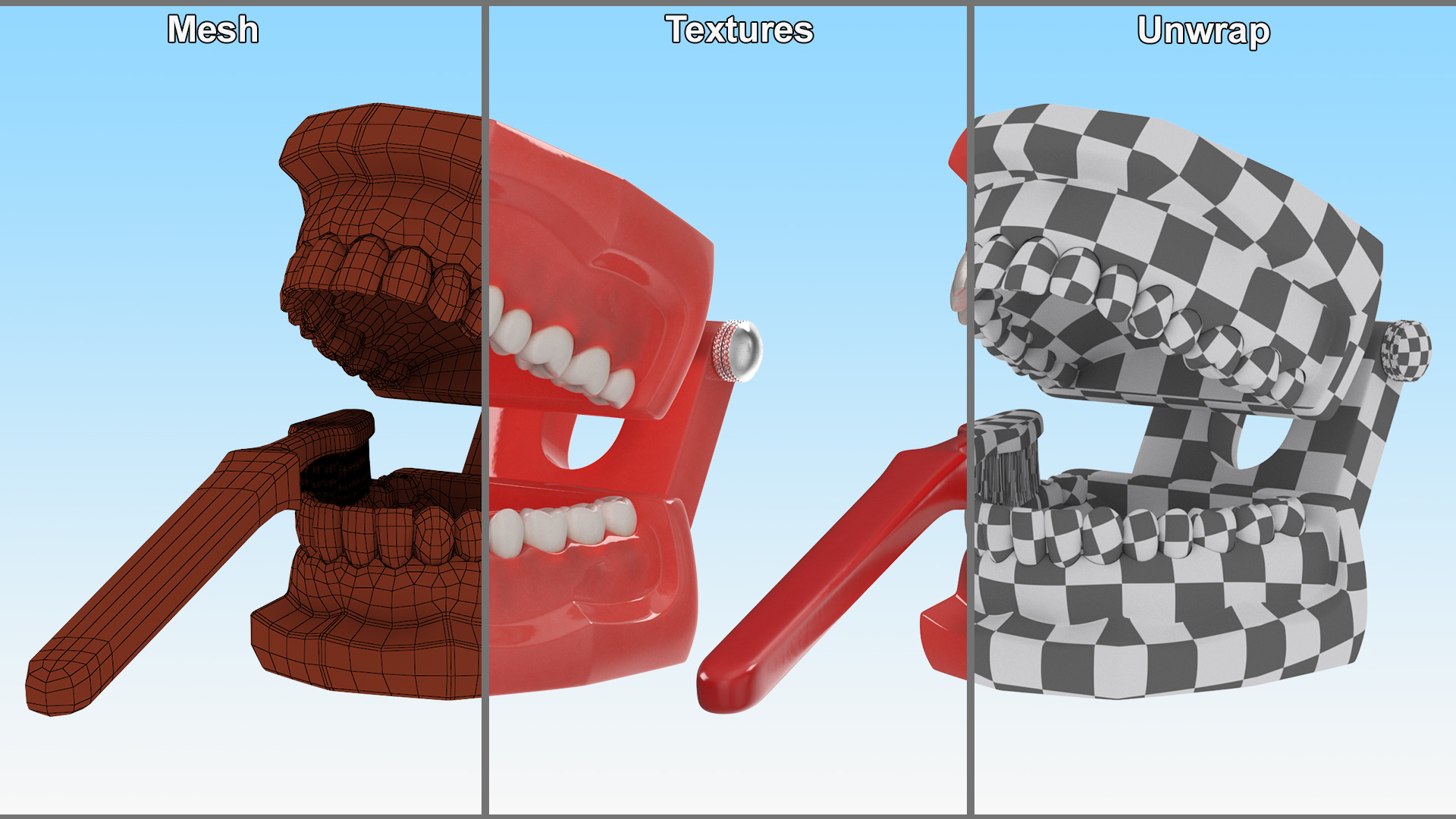 3D Dental Model with Toothbrush model