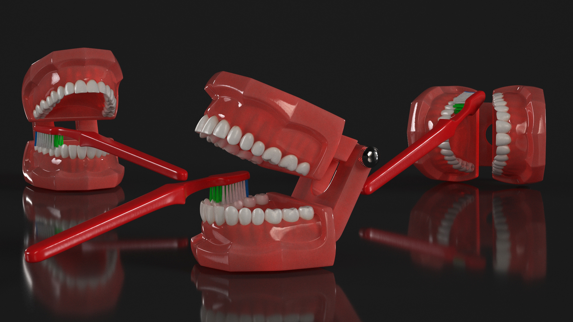 3D Dental Model with Toothbrush model