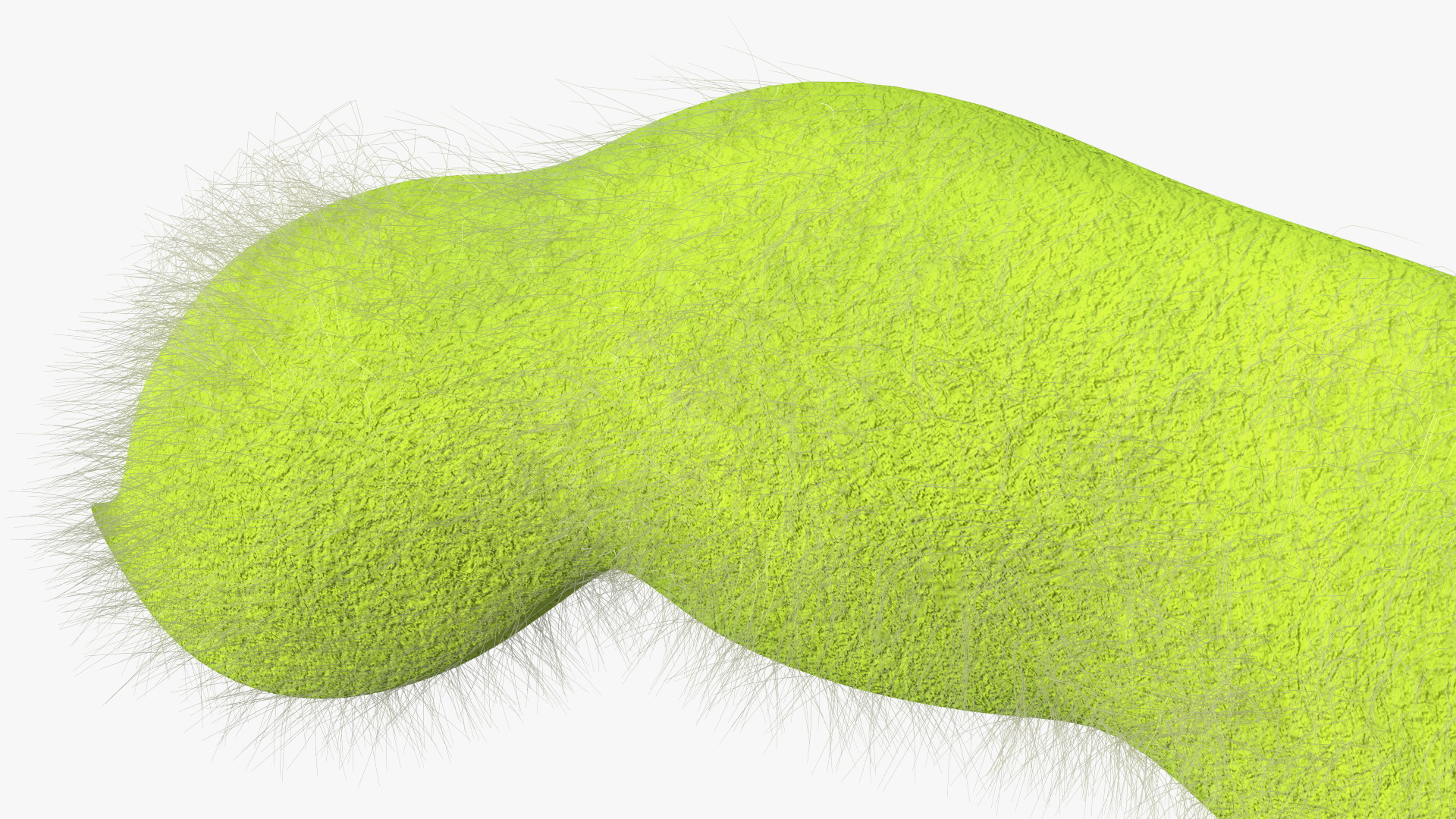 3D Green Soybean Pod Fur