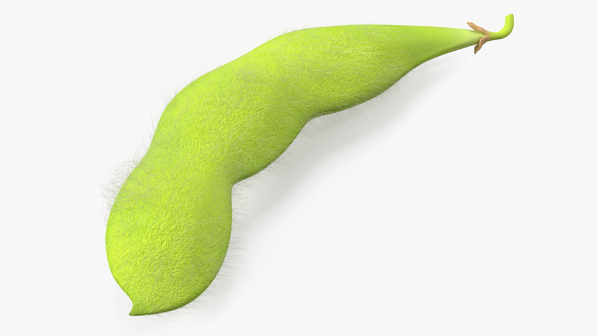 3D Green Soybean Pod Fur