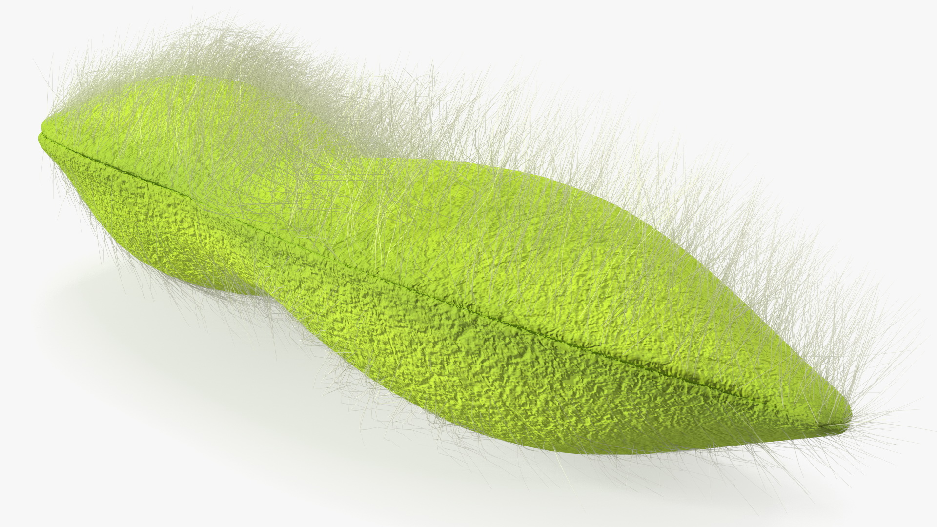 3D Green Soybean Pod Fur