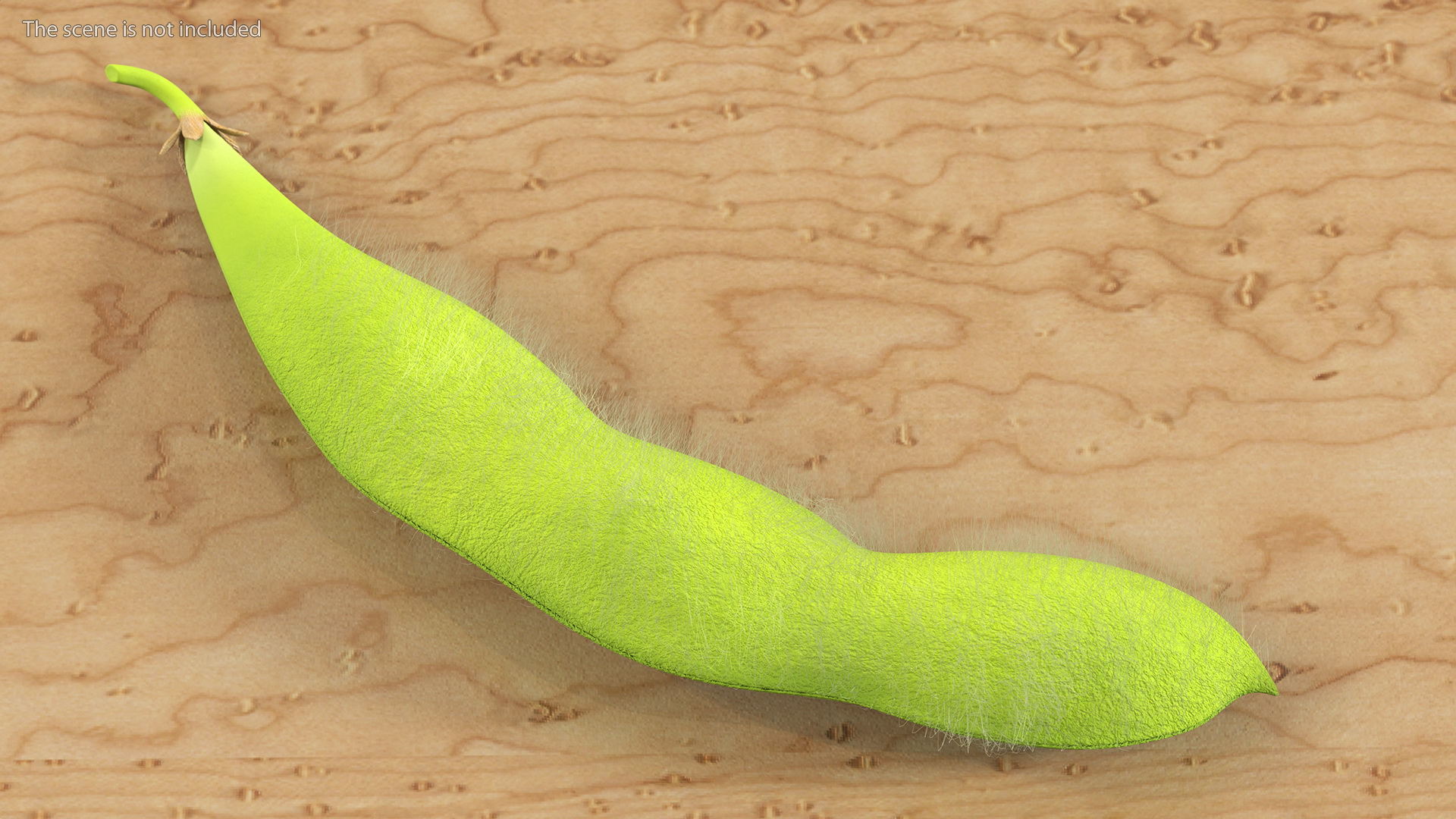 3D Green Soybean Pod Fur