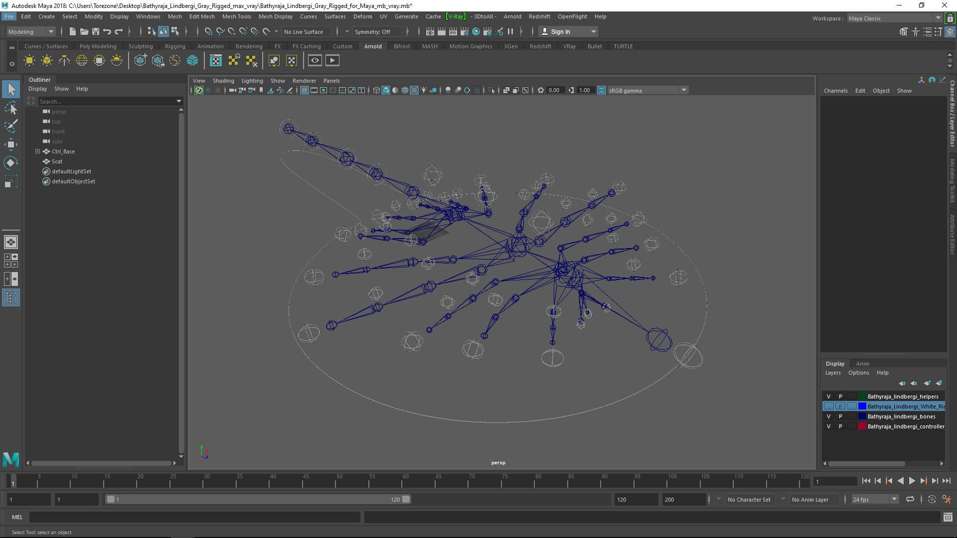 3D model Bathyraja Lindbergi Gray Rigged for Maya