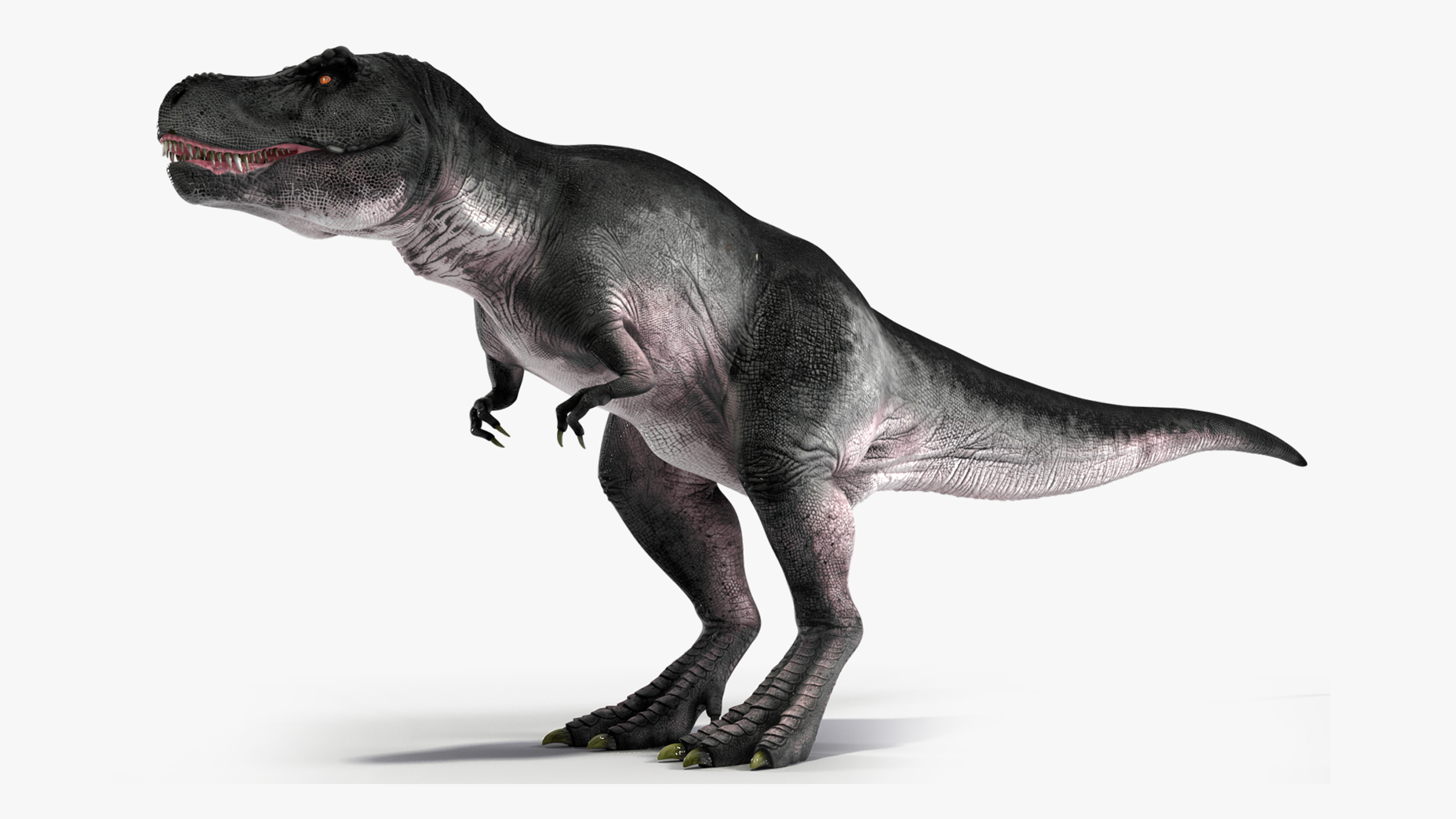 3D model T Rex Idle Animated Rigged for Cinema 4D