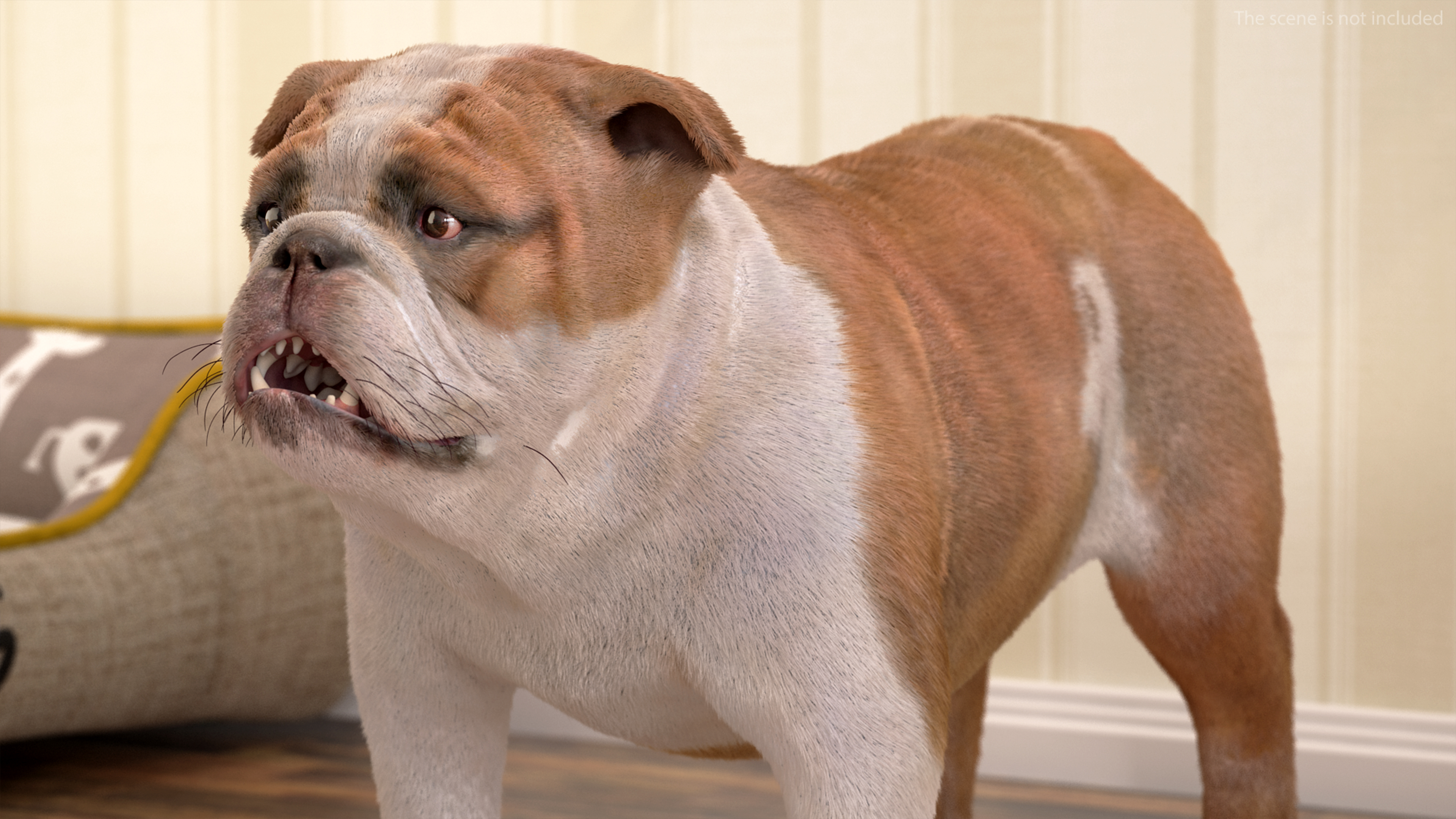 3D Bulldog Fur