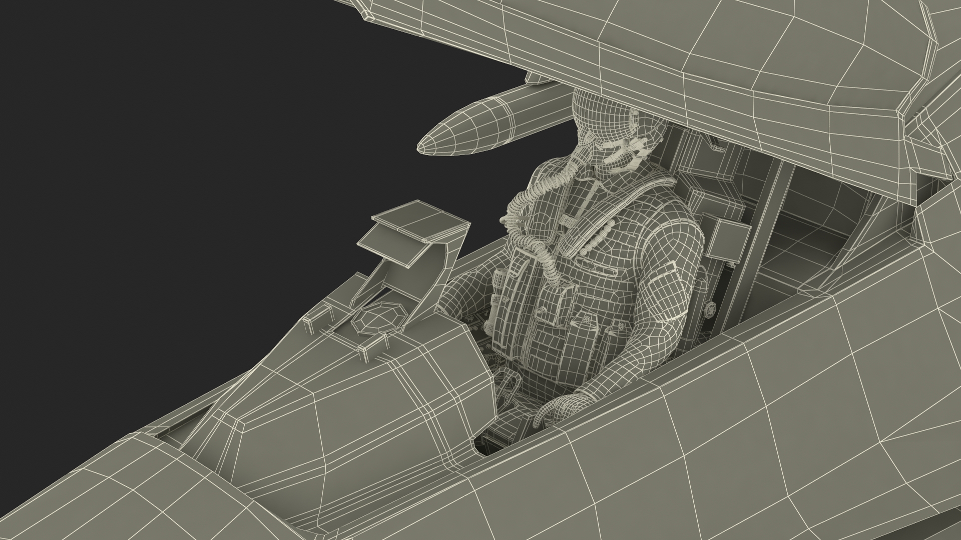 3D Fighter F 16 Fighting Falcon With Jet Armament Rigged model