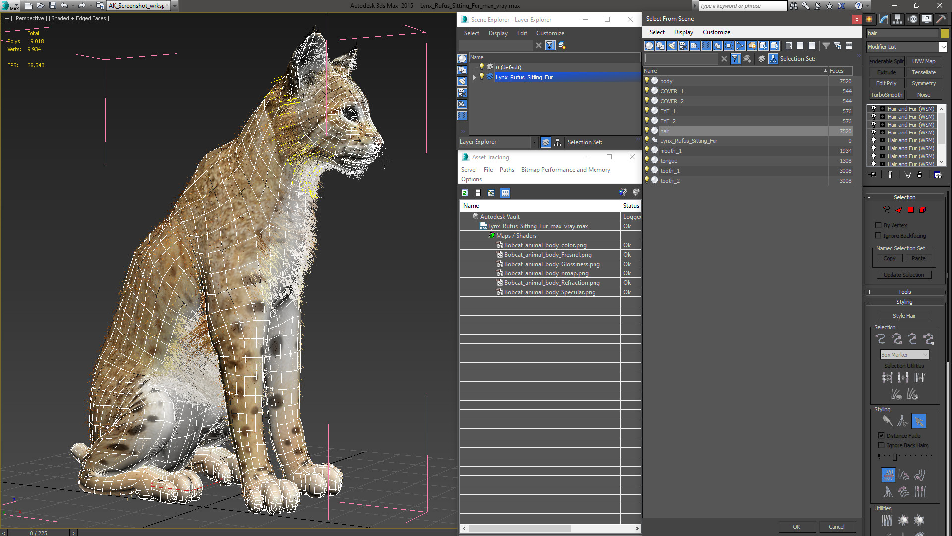 Lynx Rufus Sitting Fur 3D