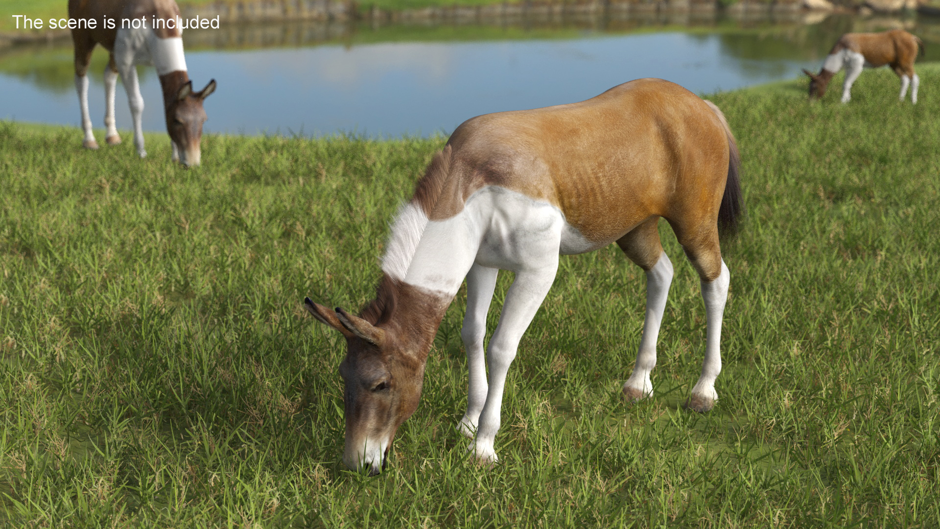 3D model Mule Fur Rigged