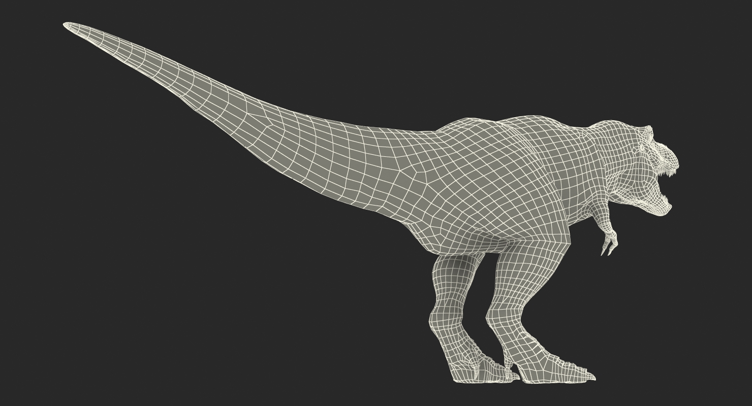 Tyrannosaurus Rex Rigged 3D model