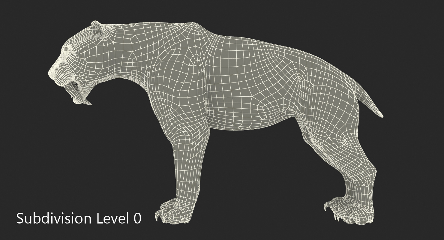 Arctic Saber Tooth Cat 3D