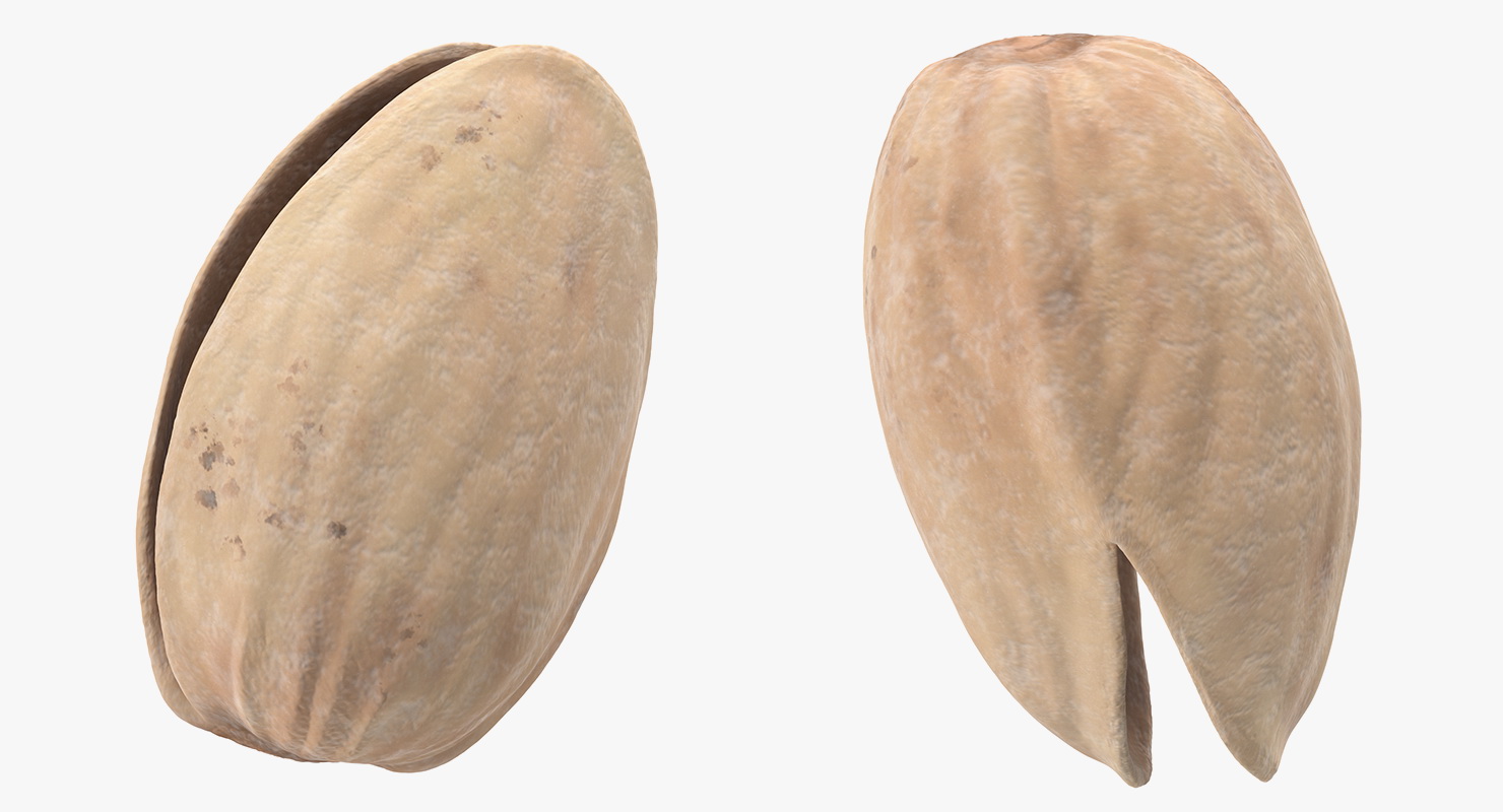 3D Pistachio Empty Shell